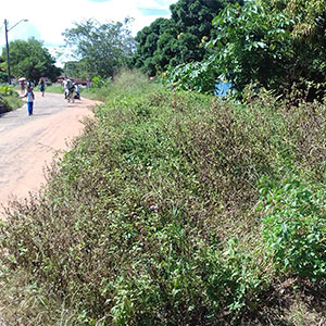 sustentabilidade-12