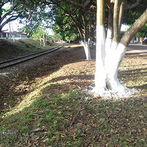 sustentabilidade-16