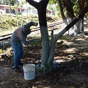 sustentabilidade-17