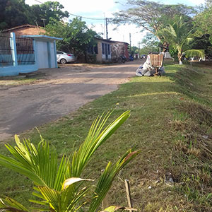 sustentabilidade-19