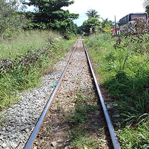 sustentabilidade-2
