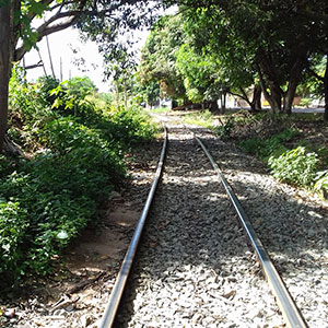 sustentabilidade-3