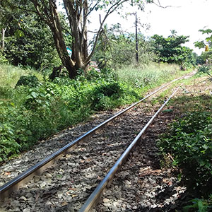 sustentabilidade-4