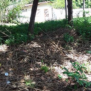 sustentabilidade-5