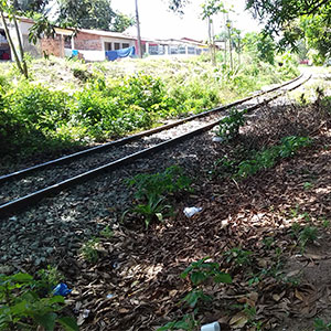 sustentabilidade-6