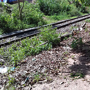 sustentabilidade-7