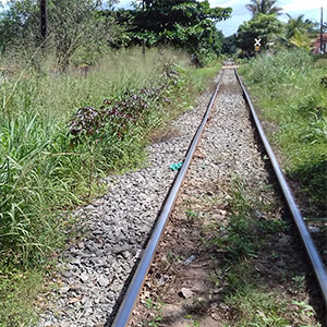 sustentabilidade-9